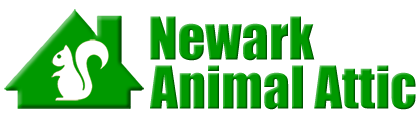 Newark Animal Attic